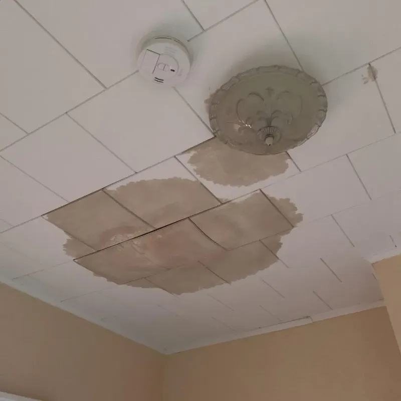 Ceiling Water Damage Repair in Pulaski County, IN