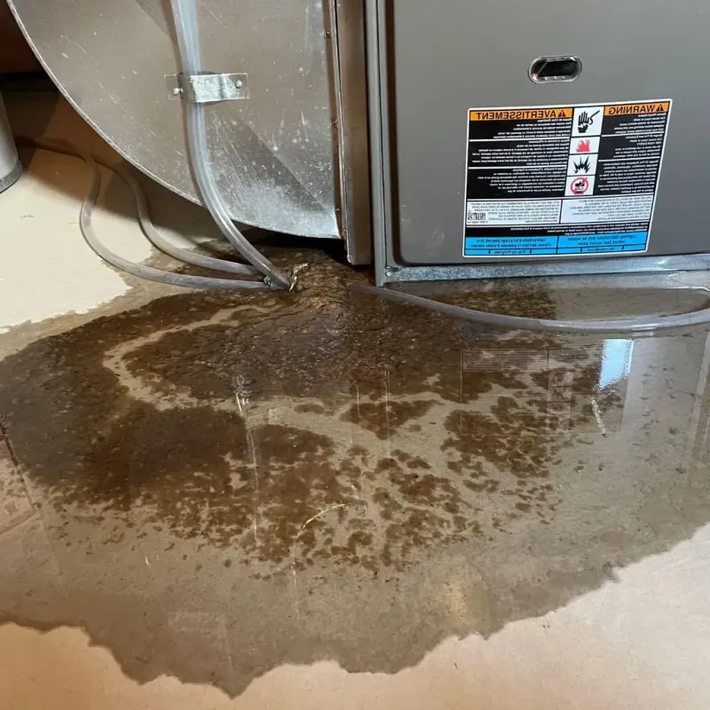 Pipe Burst and Leak Restoration in Pulaski County, IN