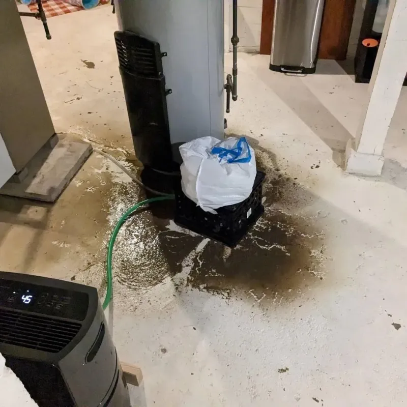 Sewage Backup Cleanup Service in Pulaski County, IN